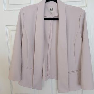 Pink Blazer